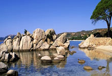 总冠军卫冕冠军遭遇麻烦，主场劣势难以逆转