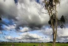 轻松过招：梅西领衔巴萨逐鹿联赛榜首