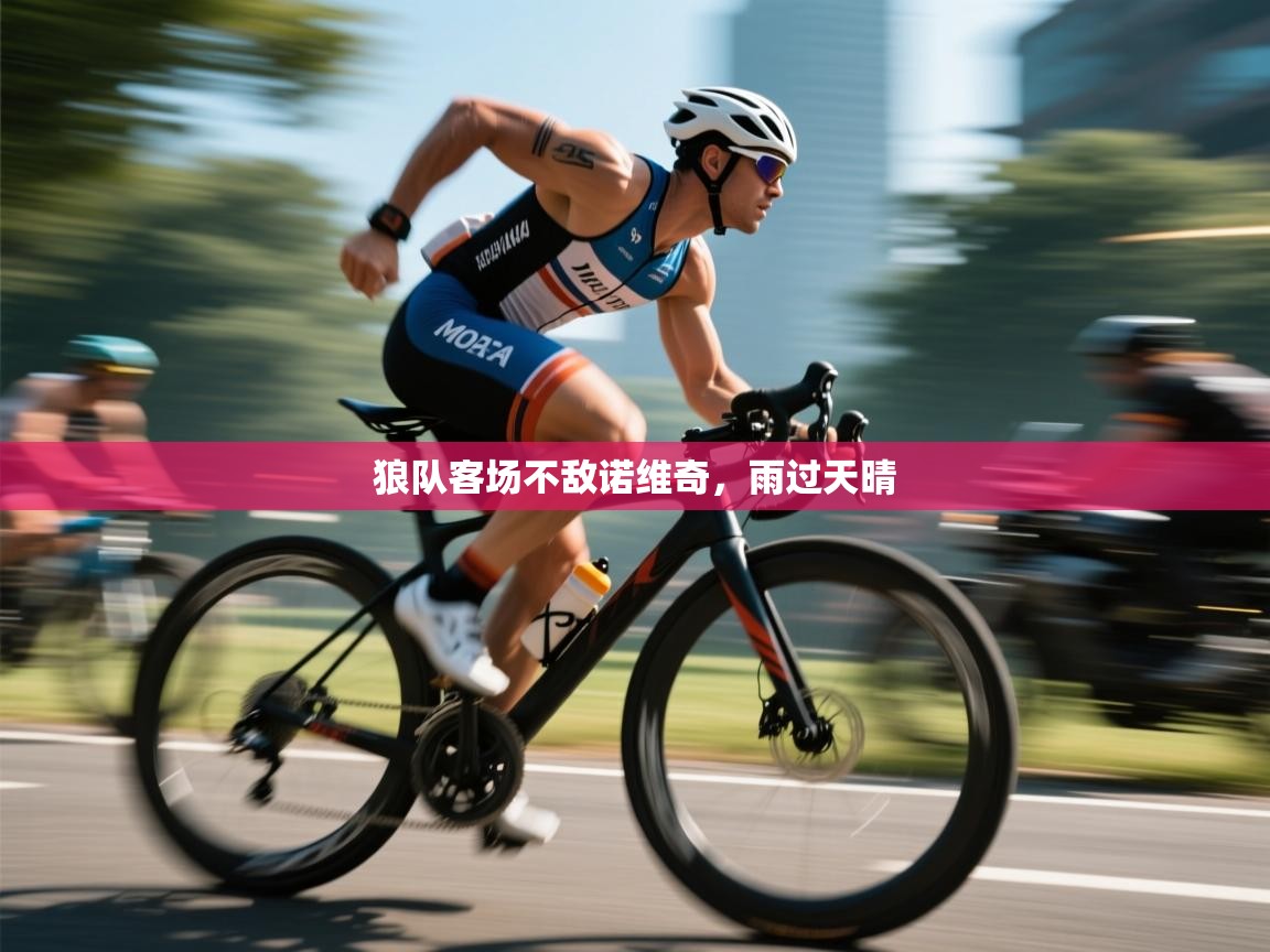 狼队客场不敌诺维奇，雨过天晴  第2张