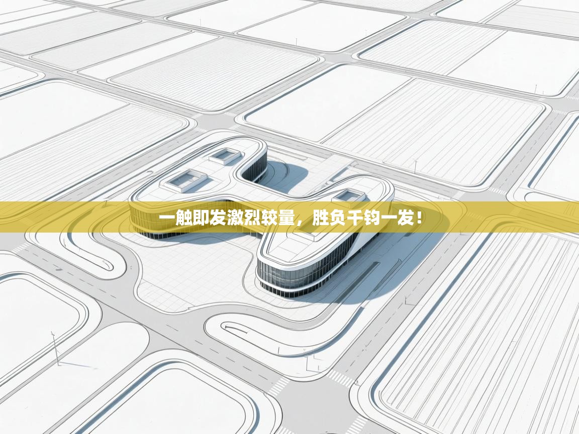 一触即发激烈较量，胜负千钧一发！  第1张