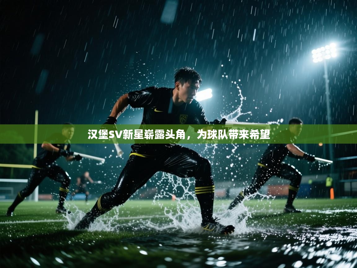 汉堡SV新星崭露头角，为球队带来希望  第2张