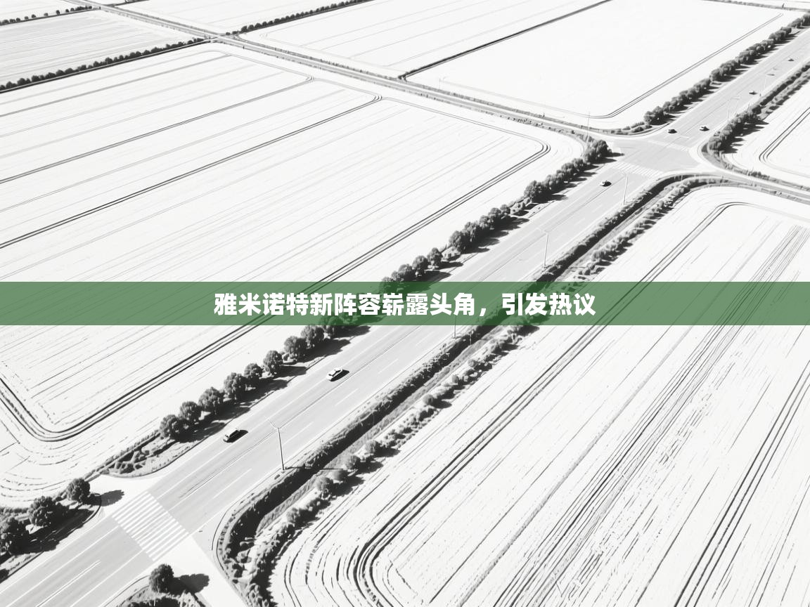 雅米诺特新阵容崭露头角，引发热议  第2张